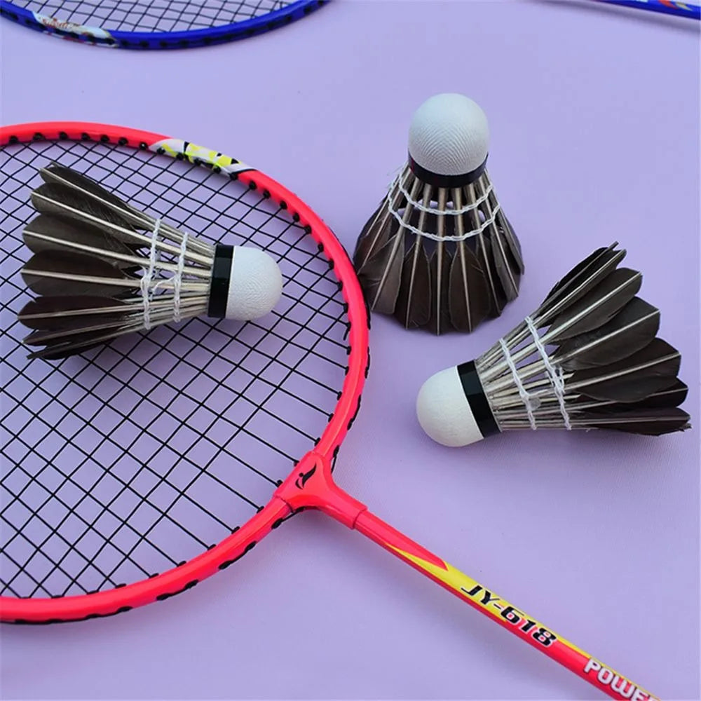 Professional Badminton Shuttlecock Black Goose Feather Badminton Shuttlecock Training Sport Badminton Ball Quirisitos